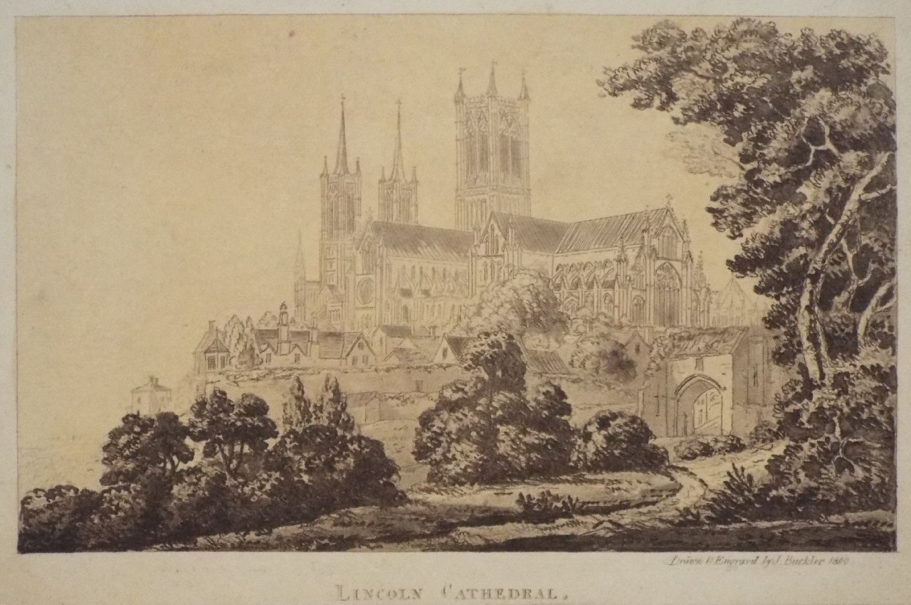Etching - Lincoln Cathedral - Buckler